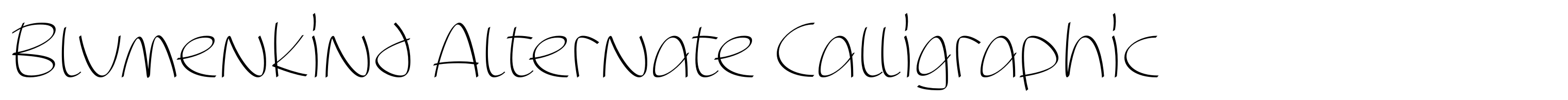 Blumenkind Alternate Calligraphic